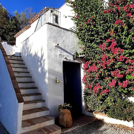 Attico Los Montes With Private Pool Viñuela Dış mekan fotoğraf