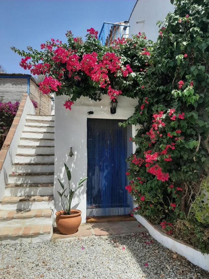 Attico Los Montes With Private Pool Viñuela Dış mekan fotoğraf